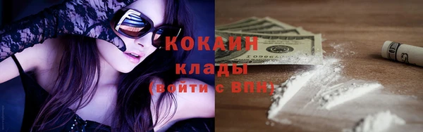 прущие грибы Абдулино