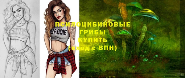 дживик Михайловка
