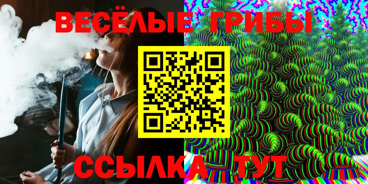 Галлюциногенные грибы MAGIC MUSHROOMS  Галлюциногенные грибы прущие грибы  Химки  что такое наркотик  Вход с VPN 